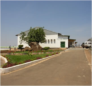 Macadamia Factory in Malawi